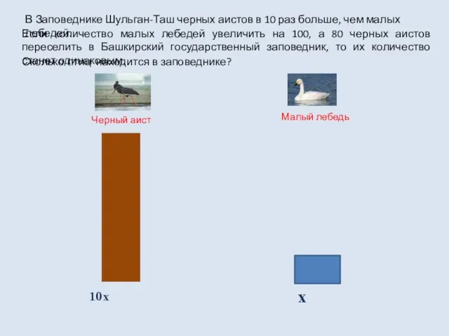 х 10х Черный аист Малый лебедь Если количество малых лебедей