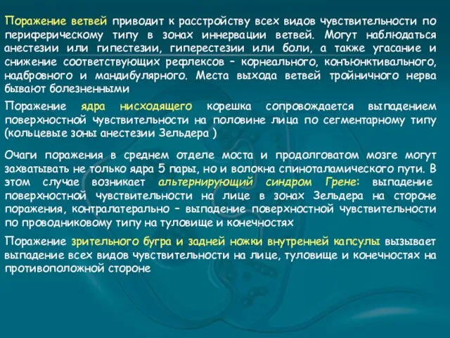 Поражение ветвей приводит к расстройству всех видов чувствительности по периферическому