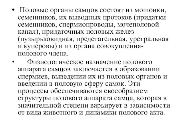 Половые органы самцов состоят из мошонки, семенников, их выводных протоков