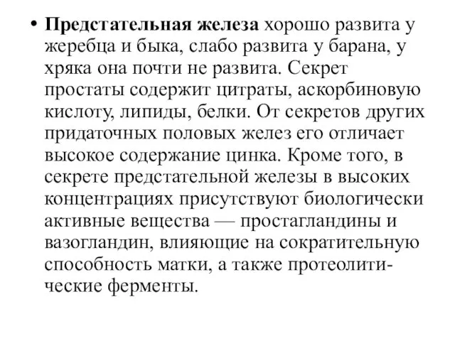 Предстательная железа хорошо развита у жеребца и быка, слабо развита