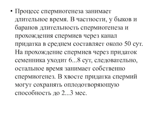 Процесс спермиогенеза занимает длительное время. В частности, у быков и