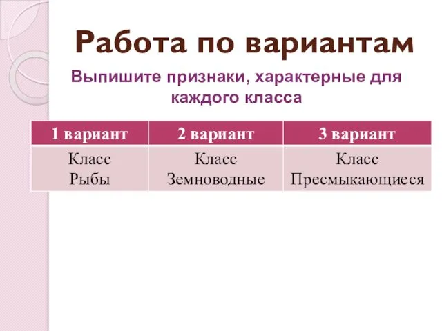 Работа по вариантам Выпишите признаки, характерные для каждого класса