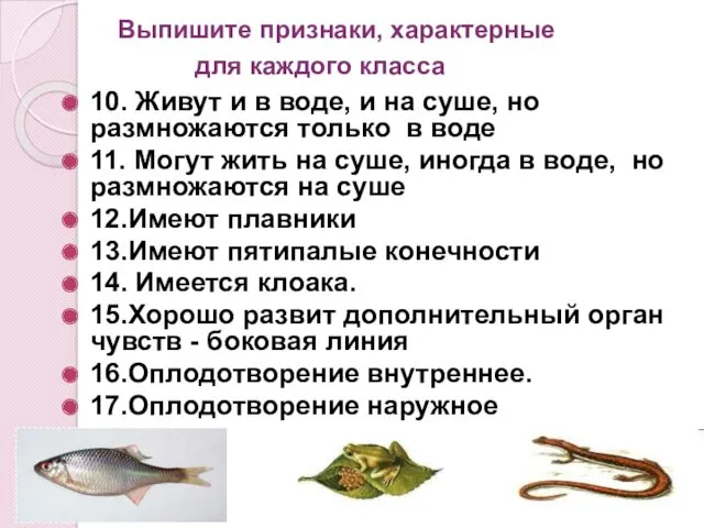 10. Живут и в воде, и на суше, но размножаются только в воде