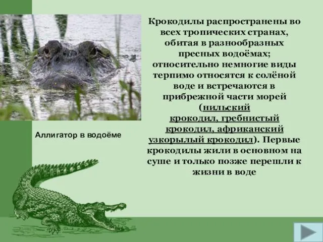 Крокодилы распространены во всех тропических странах, обитая в разнообразных пресных