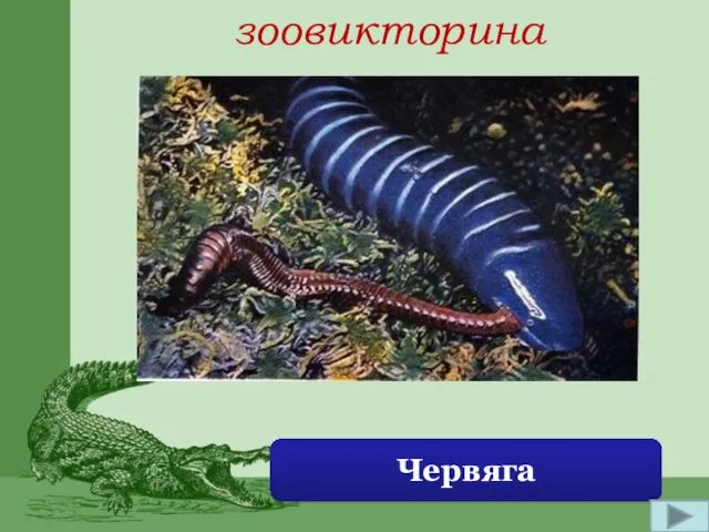 зоовикторина Червяга