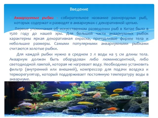 Аквариумные рыбки - собирательное название разнородных рыб, которых содержат и разводят в аквариумах