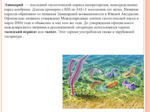 Эдиакарий — последний геологический период неопротерозоя, непосредственно перед кембрием. Длился