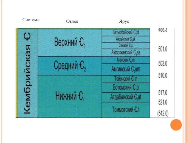 Система Отдел Ярус