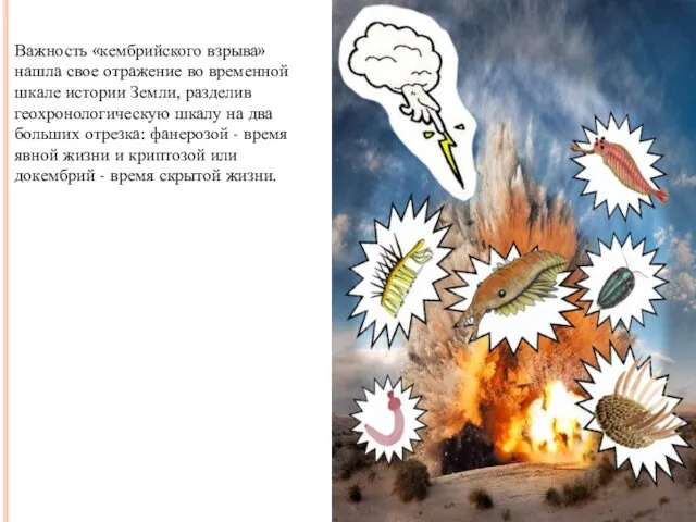 Важность «кембрийского взрыва» нашла свое отражение во временной шкале истории Земли, разделив геохронологическую