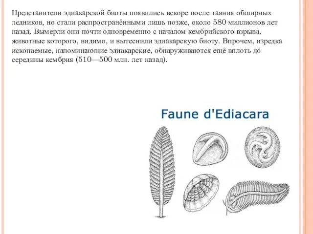 Представители эдиакарской биоты появились вскоре после таяния обширных ледников, но стали распространёнными лишь