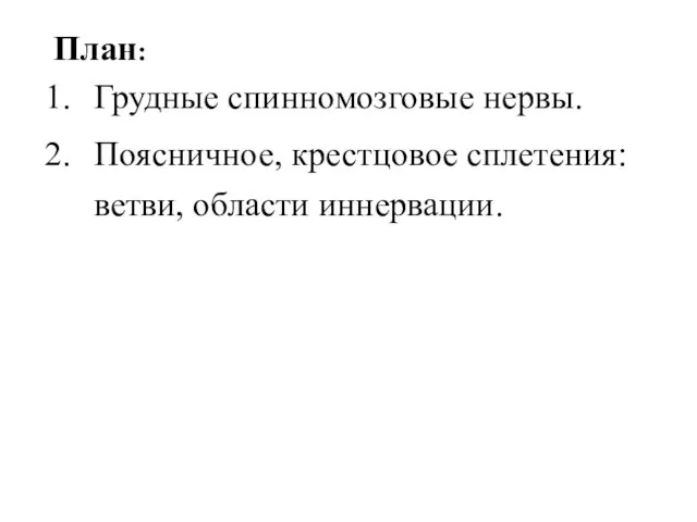 План: Грудные спинномозговые нервы. Поясничное, крестцовое сплетения: ветви, области иннервации.