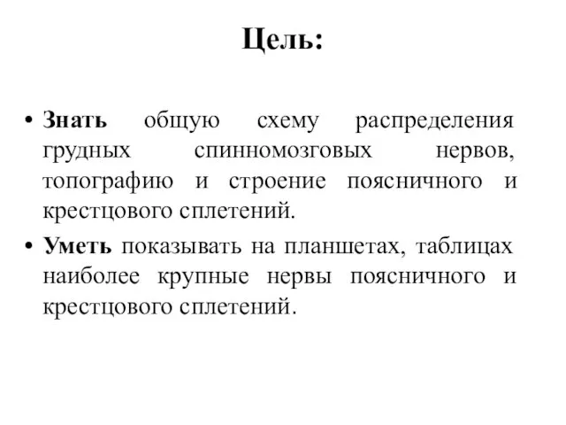 Цель: Знать общую схему распределения грудных спинномозговых нервов, топографию и