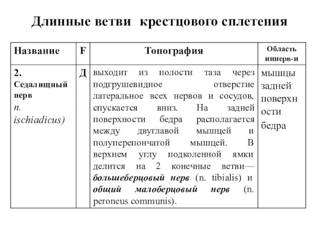 Длинные ветви крестцового сплетения