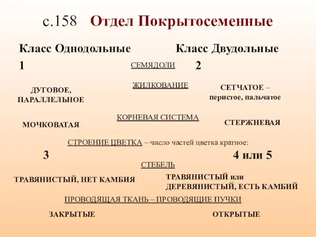 с.158 Отдел Покрытосеменные Класс Однодольные 1 Класс Двудольные 2 СЕМЯДОЛИ