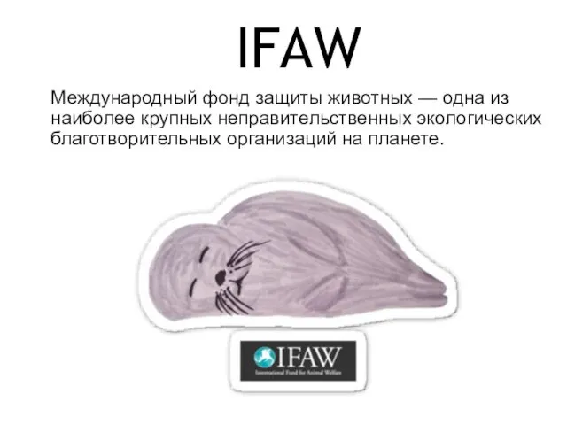 Международный фонд защиты животных — одна из наиболее крупных неправительственных экологических благотворительных организаций на планете. IFAW