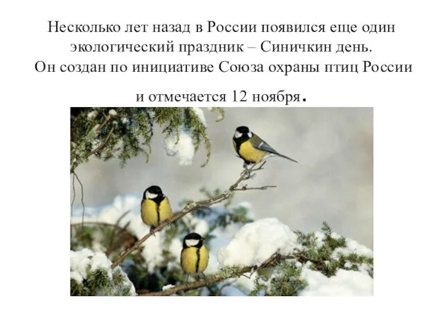 Несколько лет назад в России появился еще один экологический праздник