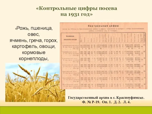 «Контрольные цифры посева на 1931 год» «Рожь, пшеница, овес, ячмень, греча, горох, картофель,