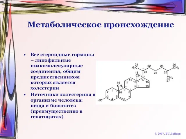 Метаболическое происхождение Все стероидные гормоны – липофильные низкомолекулярные соединения, общим