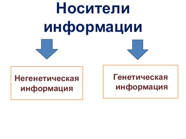 Носители информации Негенетическая информация Генетическая информация