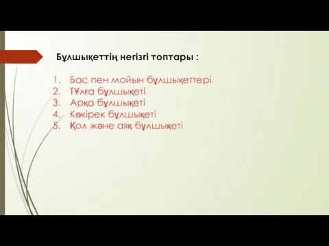 Бұлшықеттің негізгі топтары : Бас пен мойын бұлшықеттері ТҰлға бұлшықеті