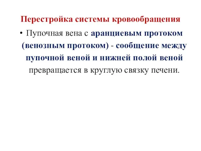 Перестройка системы кровообращения Пупочная вена с аранциевым протоком (венозным протоком)