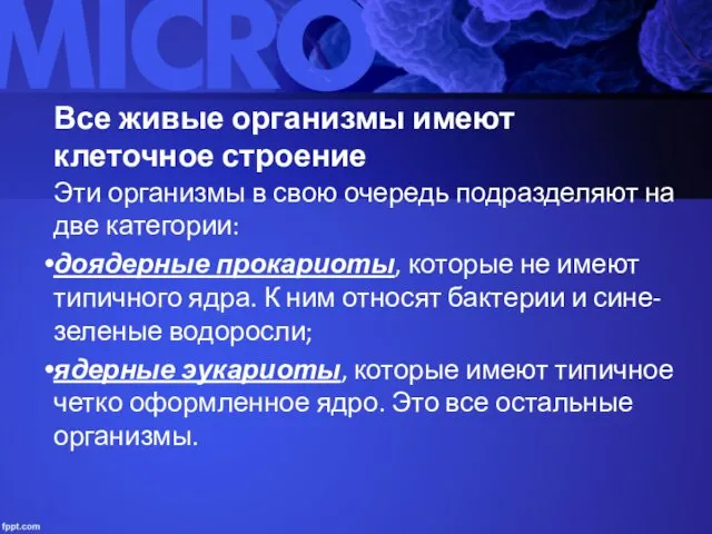 Все живые организмы имеют клеточное строение Эти организмы в свою