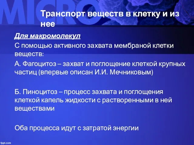 Транспорт веществ в клетку и из нее Для макромолекул С