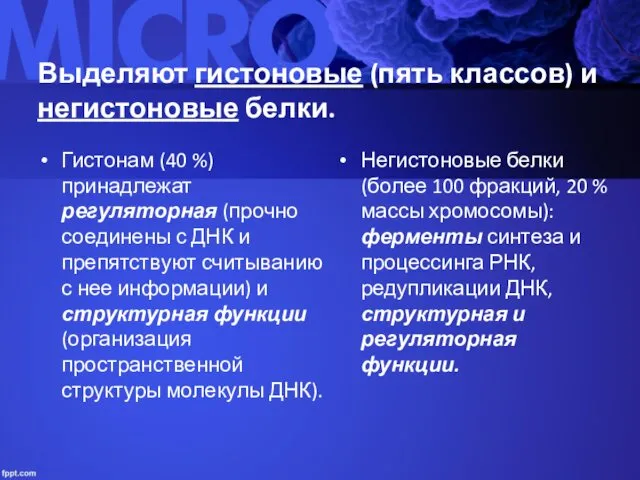 Выделяют гистоновые (пять классов) и негистоновые белки. Гистонам (40 %)