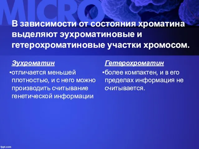 В зависимости от состояния хроматина выделяют эухроматиновые и гетерохроматиновые участки