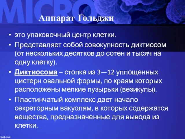 Аппарат Гольджи это упаковочный центр клетки. Представляет собой совокупность диктиосом