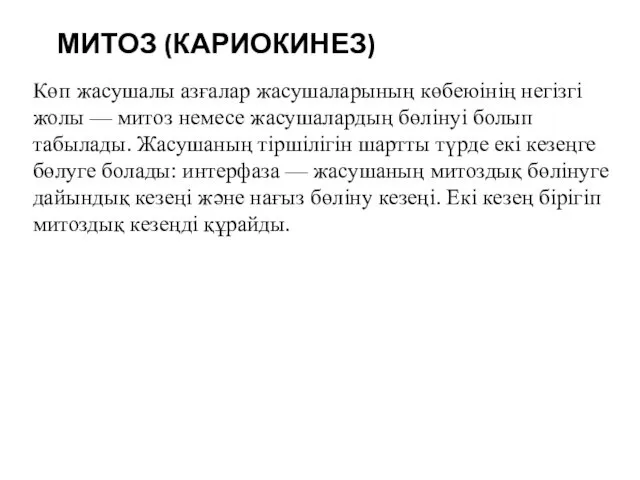 МИТОЗ (КАРИОКИНЕЗ) Көп жасушалы азғалар жасушаларының көбеюінің негізгі жолы —