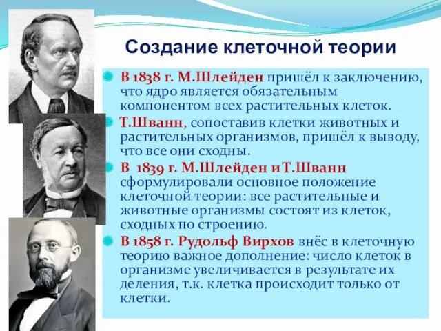 Создание клеточной теории В 1838 г. М.Шлейден пришёл к заключению,