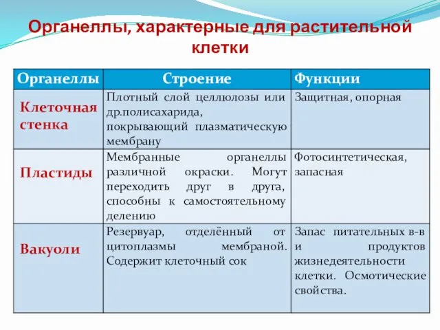 Органеллы, характерные для растительной клетки Клеточная стенка Пластиды Вакуоли