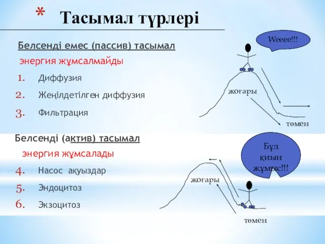 Тасымал түрлері Белсенді емес (пассив) тасымал энергия жұмсалмайды Диффузия Жеңілдетілген