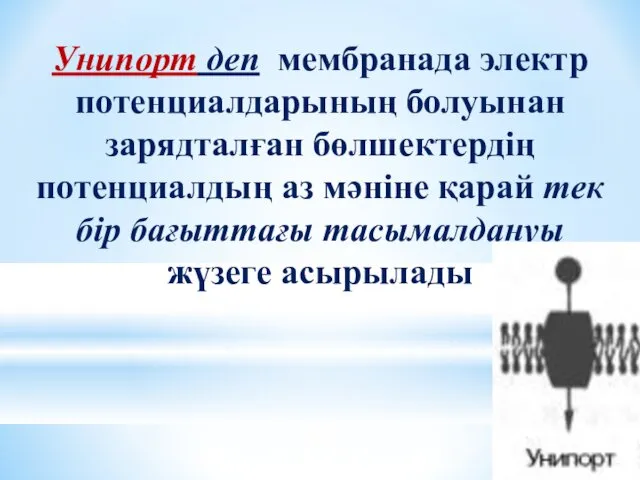 Унипорт деп мембранада электр потенциалдарының болуынан зарядталған бөлшектердің потенциалдың аз