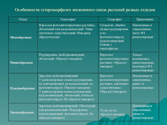 Особенности гетероморфного жизненного цикла растений разных отделов