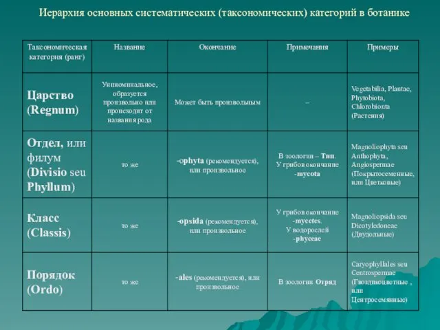 Иерархия основных систематических (таксономических) категорий в ботанике