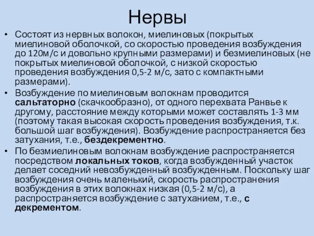 Нервы Состоят из нервных волокон, миелиновых (покрытых миелиновой оболочкой, со