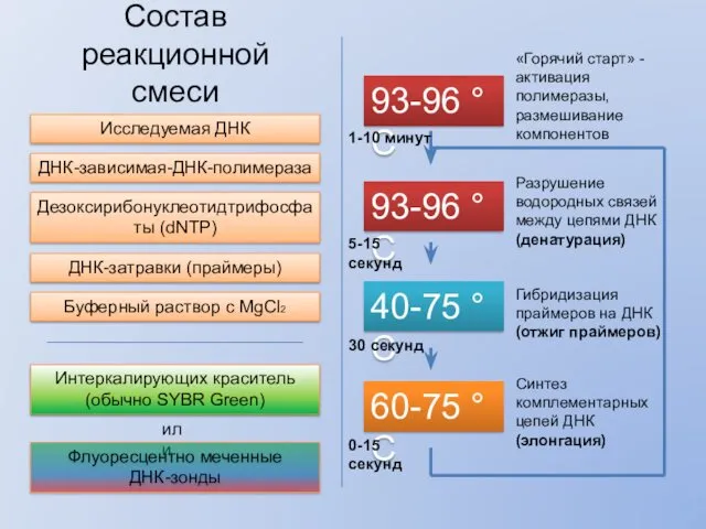 Состав реакционной смеси Исследуемая ДНК ДНК-зависимая-ДНК-полимераза Дезоксирибонуклеотидтрифосфаты (dNTP) ДНК-затравки (праймеры)