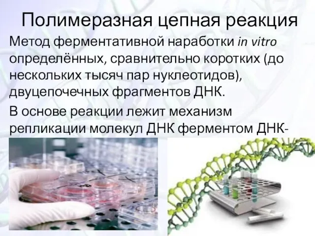 Полимеразная цепная реакция Метод ферментативной наработки in vitro определённых, сравнительно