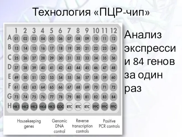 Технология «ПЦР-чип» Анализ экспрессии 84 генов за один раз