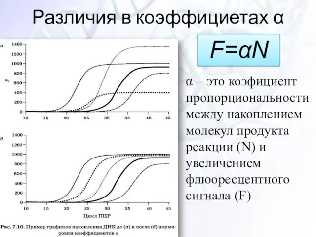 Различия в коэффициетах α α – это коэфициент пропорциональности между