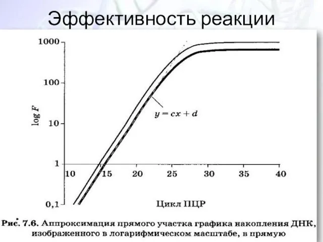 Эффективность реакции