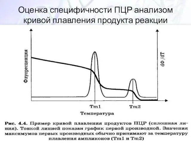 Оценка специфичности ПЦР анализом кривой плавления продукта реакции