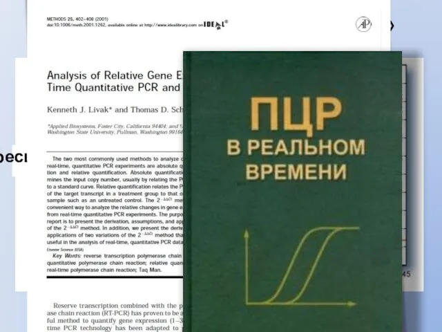 ПЦР «в реальном времени» Циклы Флуоресценция Пороговый цикл (Сt)