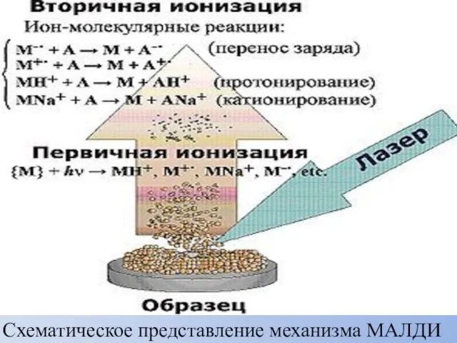 Схематическое представление механизма МАЛДИ