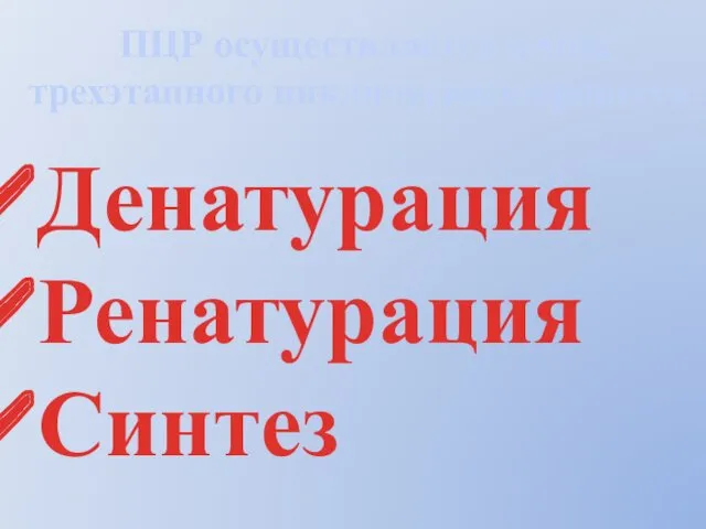 ПЦР осуществляется в ходе трехэтапного циклического процесса: Денатурация Ренатурация Синтез