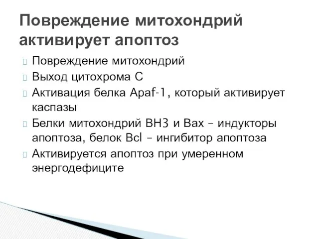 Повреждение митохондрий Выход цитохрома С Активация белка Араf-1, который активирует