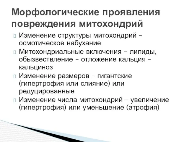 Изменение структуры митохондрий – осмотическое набухание Митохондриальные включения – липиды,