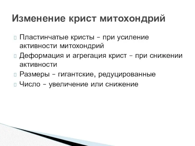 Пластинчатые кристы – при усиление активности митохондрий Деформация и агрегация